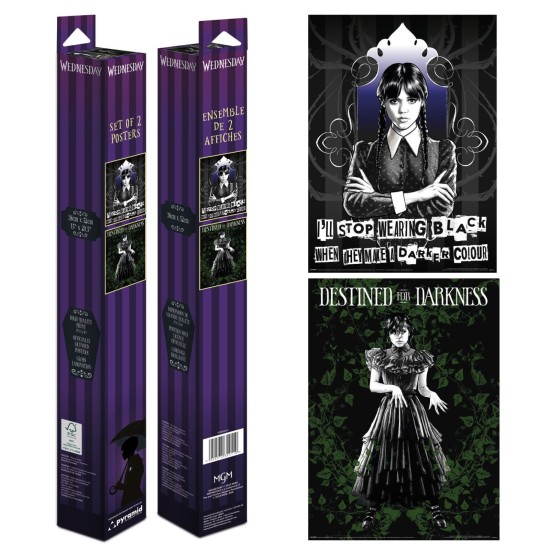 Wednesday Goth Boxed Poster Set